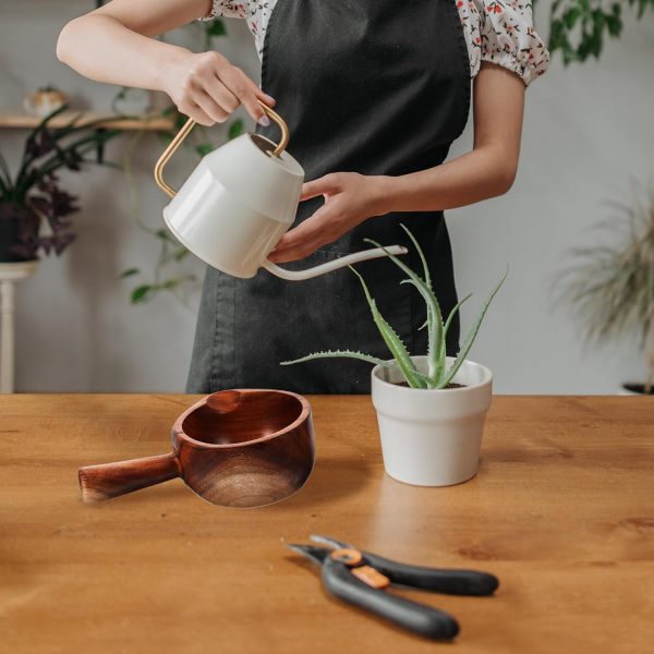 wooden sauna scoop japanese water scoop shampoo natural shower water kitchen water ladle bath dipper wood handle pouring ladle mini buckets tea accessories spoon bathtub Bamboo
